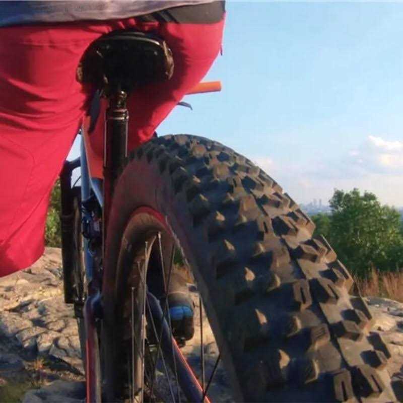 Vittoria Agarro Tire - Image 4