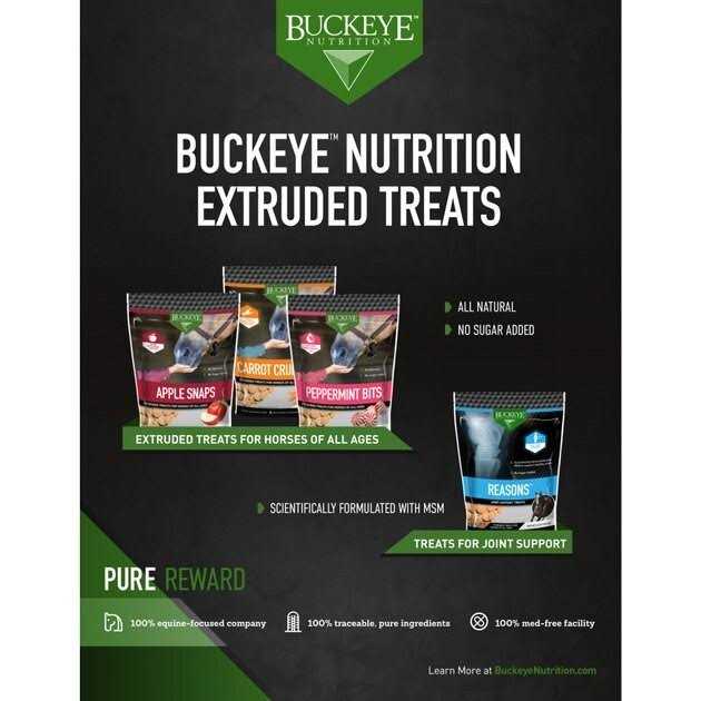 Buckeye Nutrition Peppermint Bits Treats - Image 2