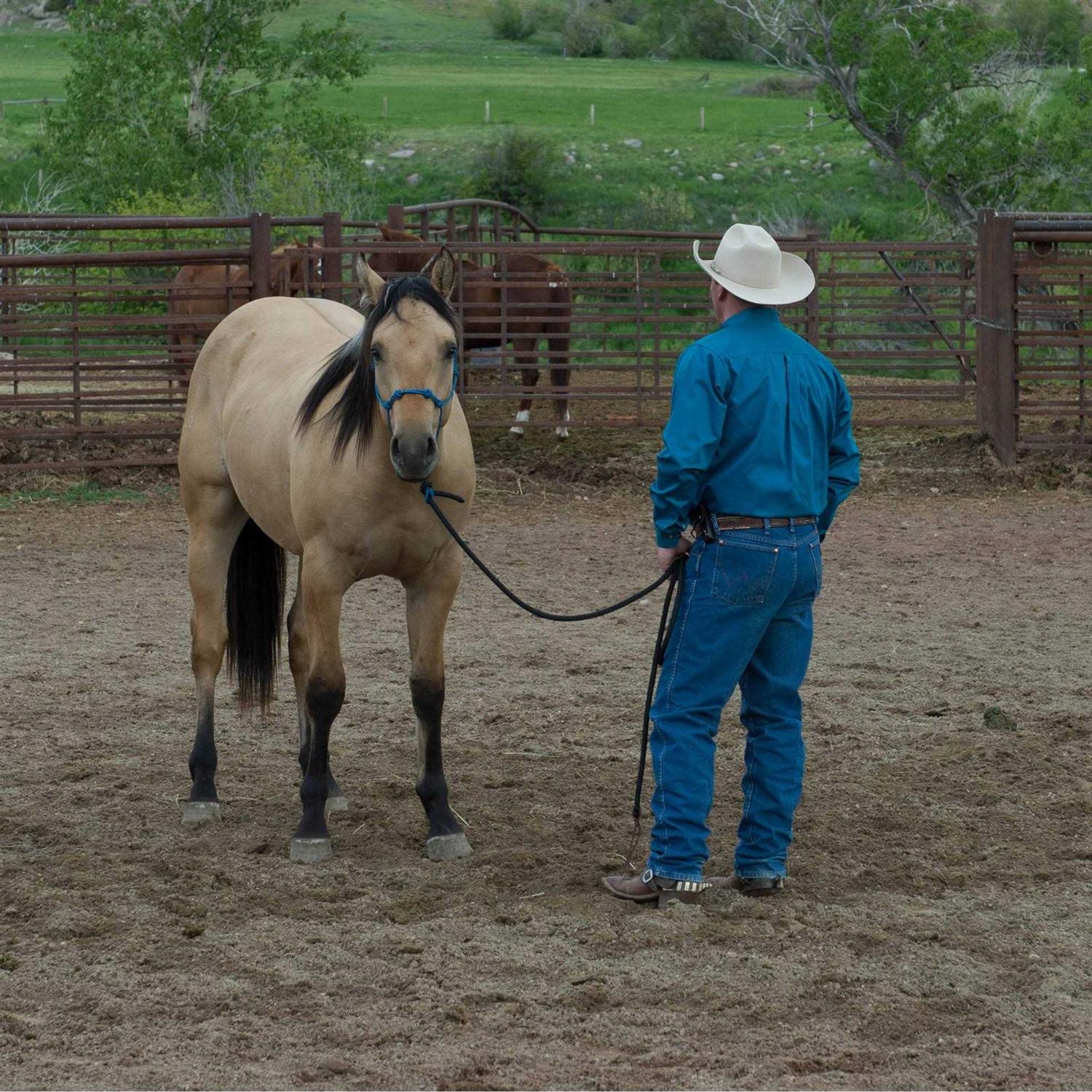 Four Knot Silvertip Rope Halter - Image 5