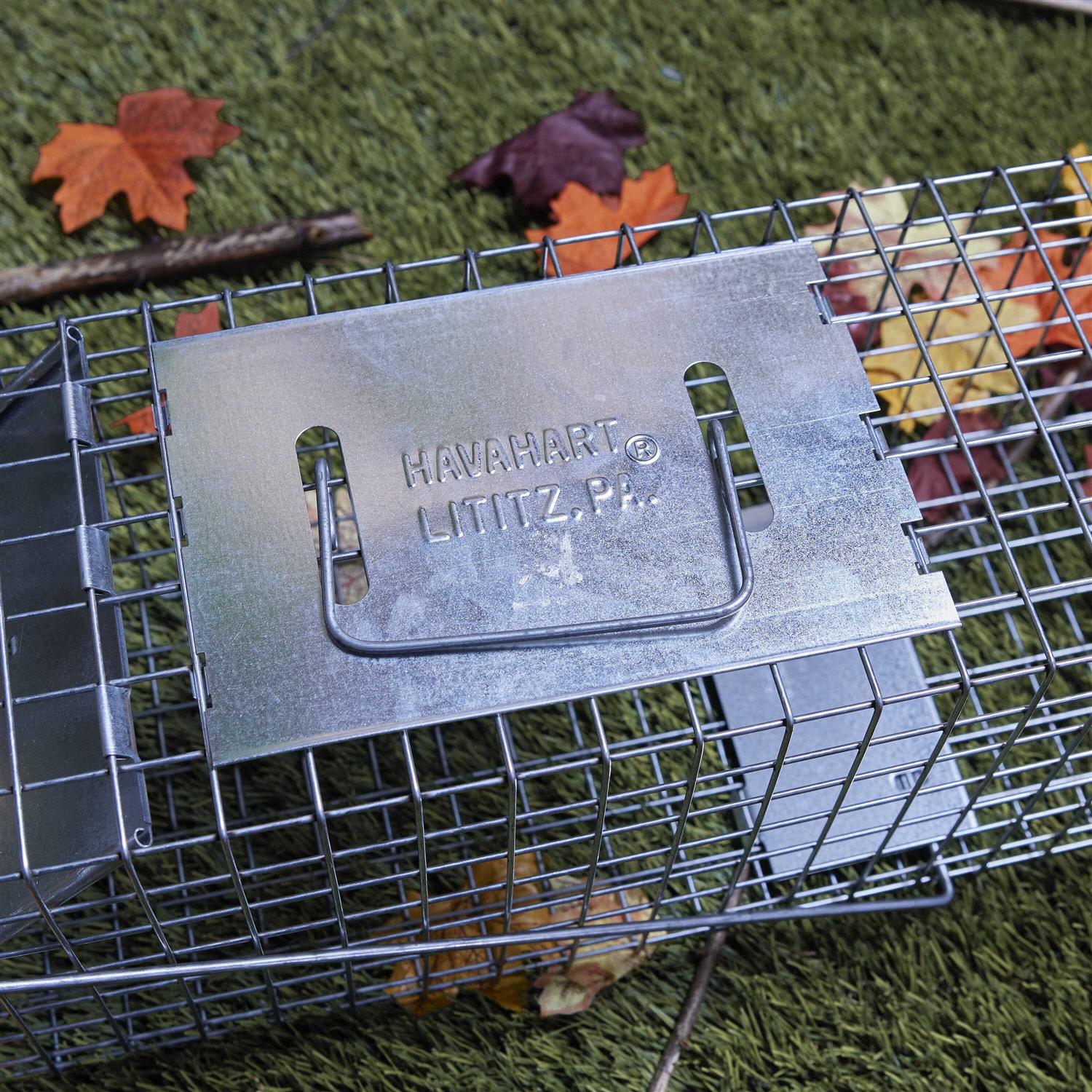 Havahart 1-Door Medium Animal Trap - Image 2