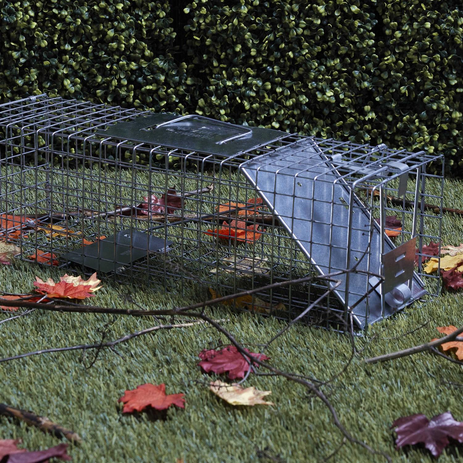 Havahart 1-Door Medium Animal Trap - Image 3