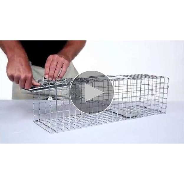 Havahart 1-Door Medium Animal Trap - Image 5