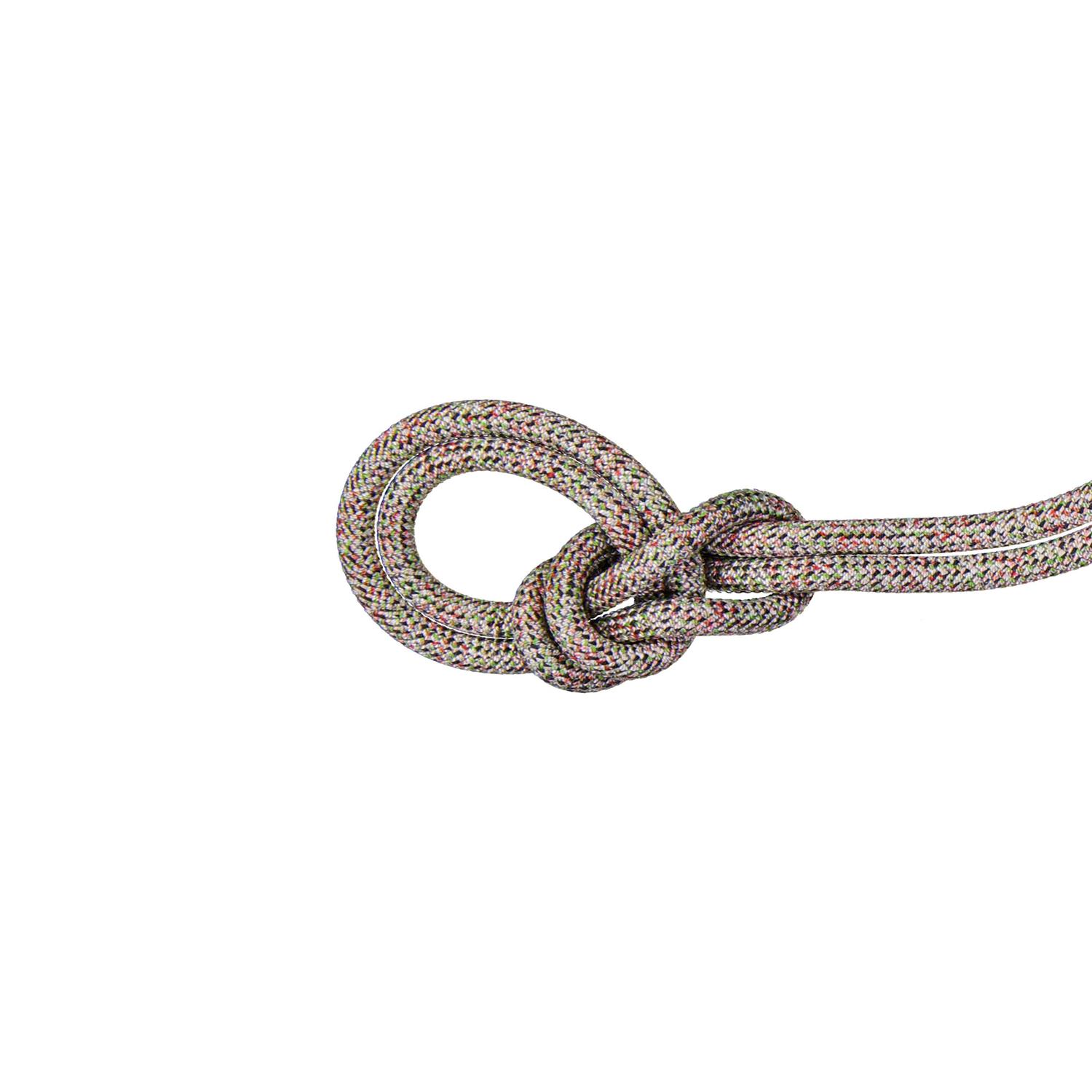 Mammut 9.5 Crag We Care Classic Rope - Image 2