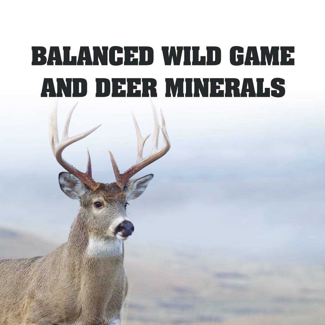 Manna Pro Deer & Wild Game Block - Image 4