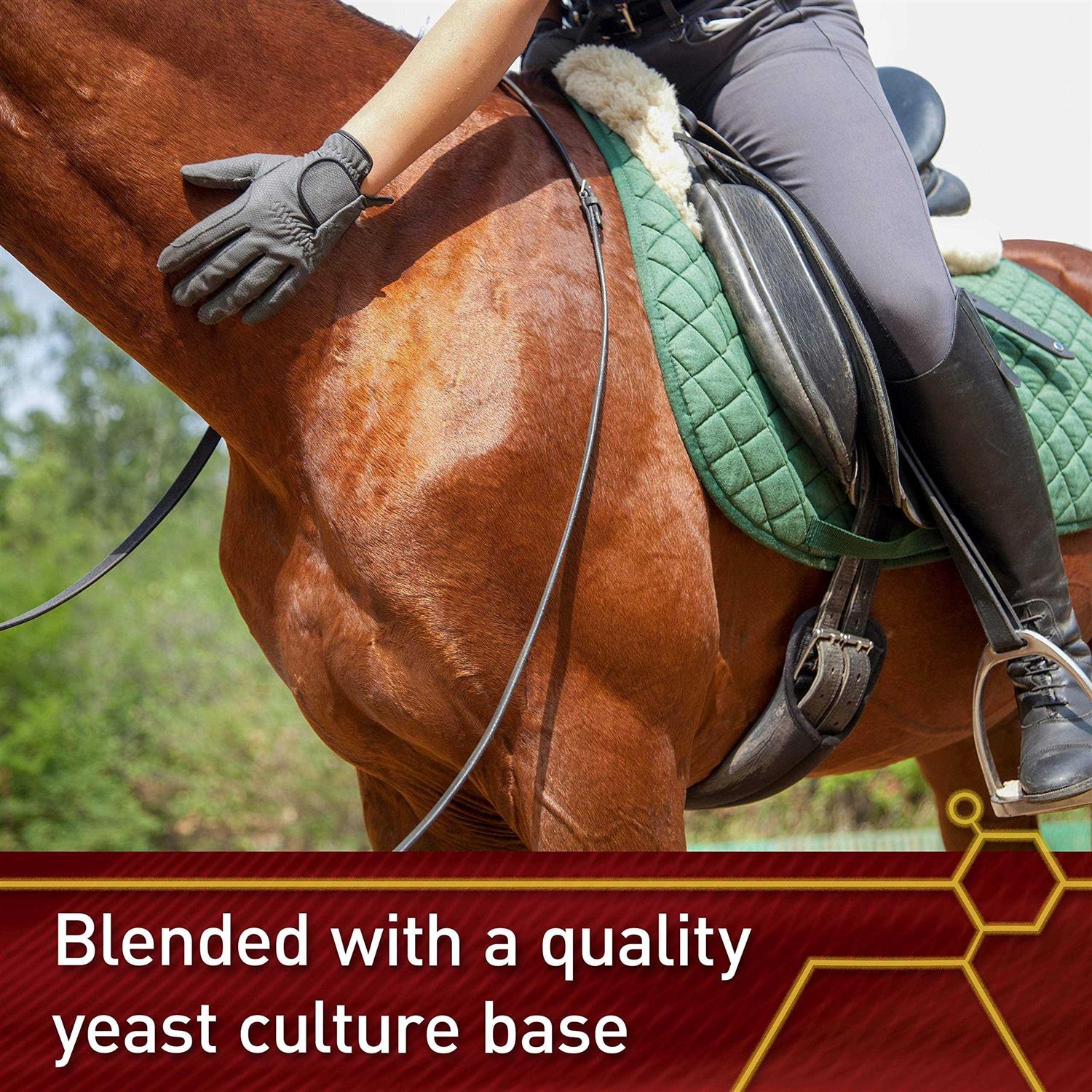 Vita Flex E & Selenium - Image 5