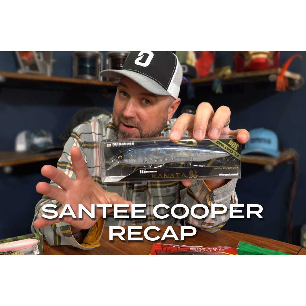 Big Bite Baits Rojas Fighting Frog - Image 2