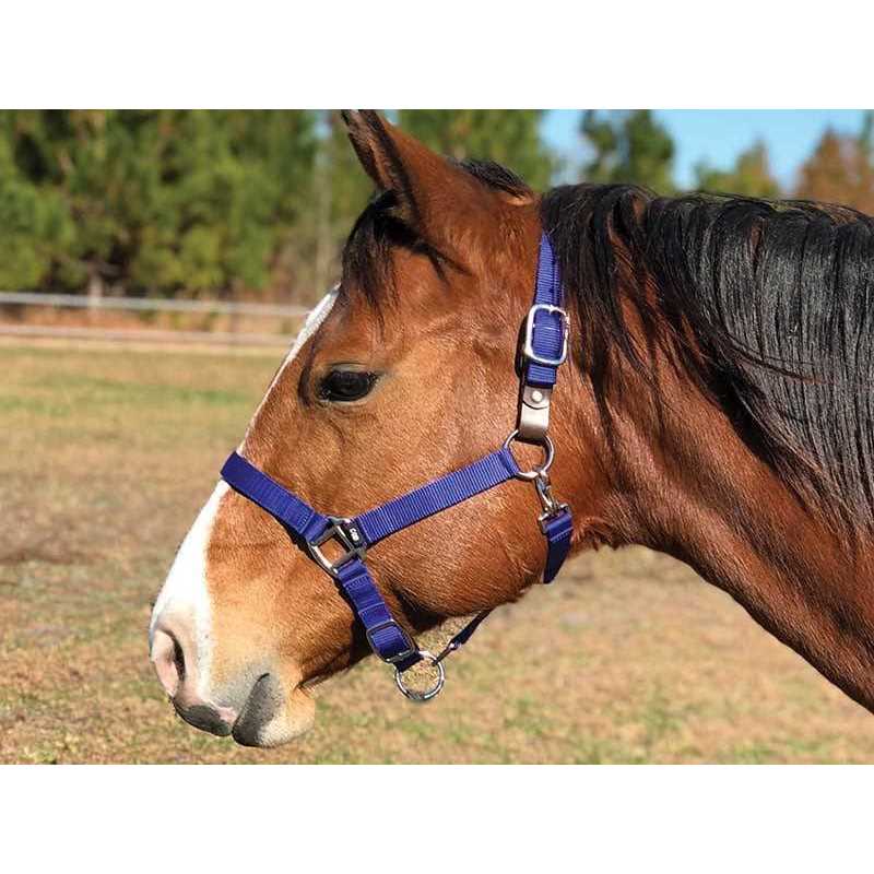Equi-Sky Breakaway Halter - Image 2