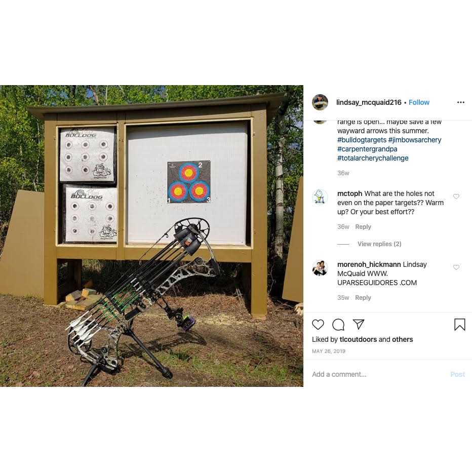 Bulldog Targets K9 Archery Target Plus - Image 5
