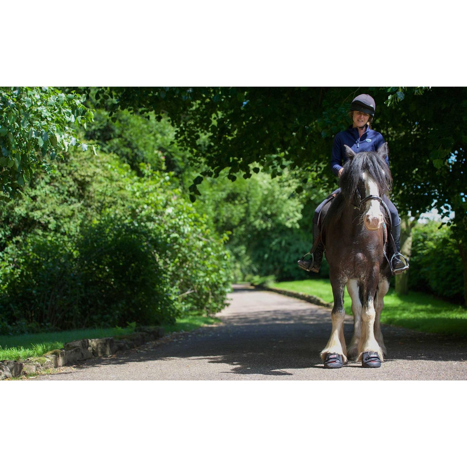 Cavallo Entry Level Boot - Image 3