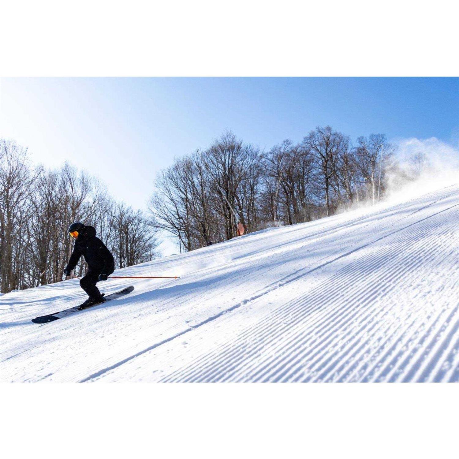 Dynastar M Free 108 Skis - Image 2