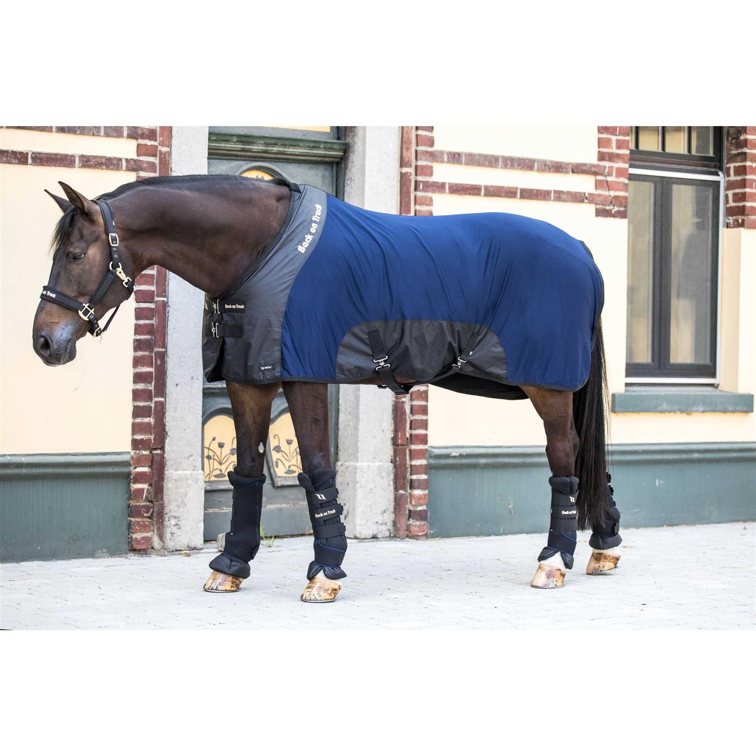 Back on Track Royal Deluxe Mesh Sheet - Image 5