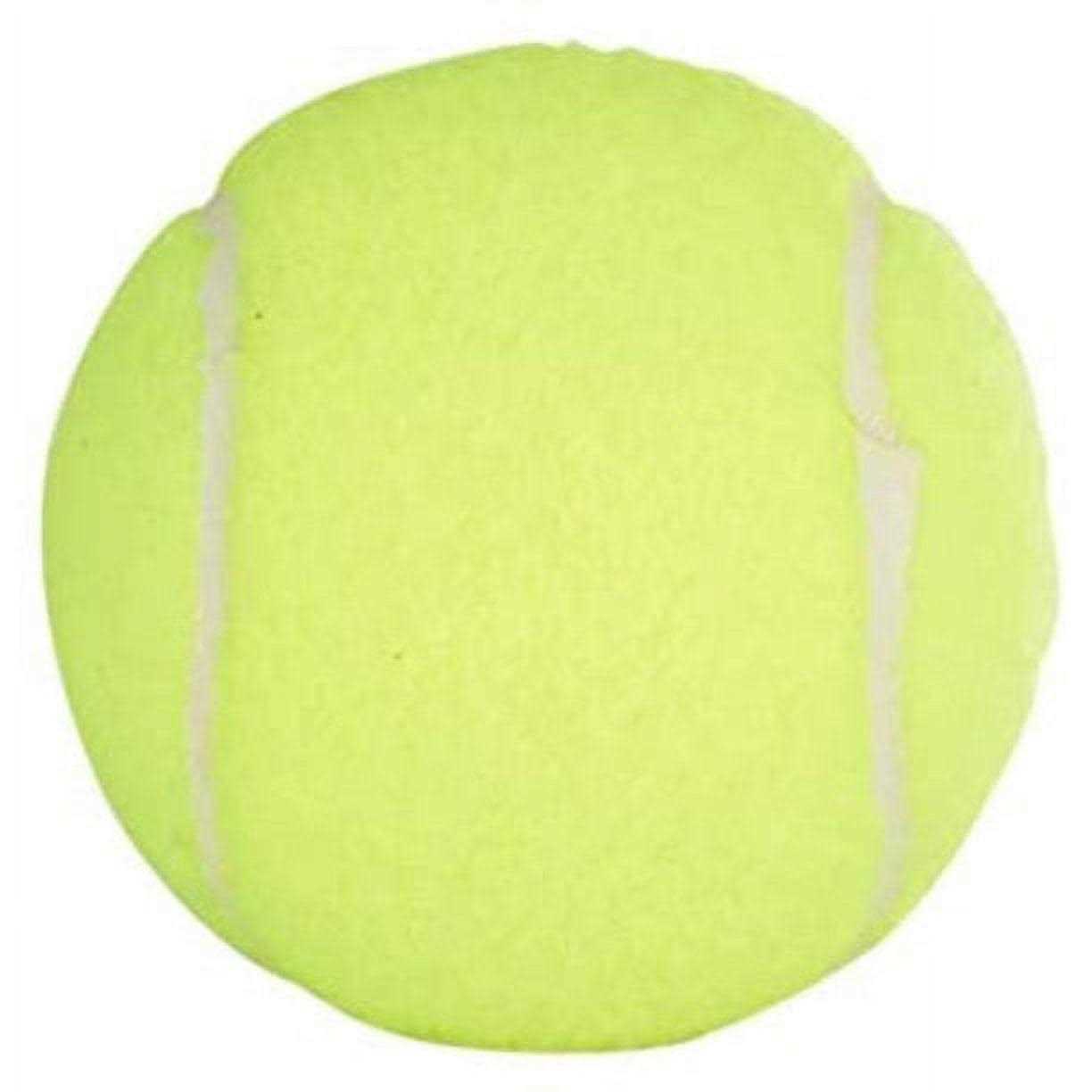 PENN Championship Extra Duty Tennis Balls - Image 5