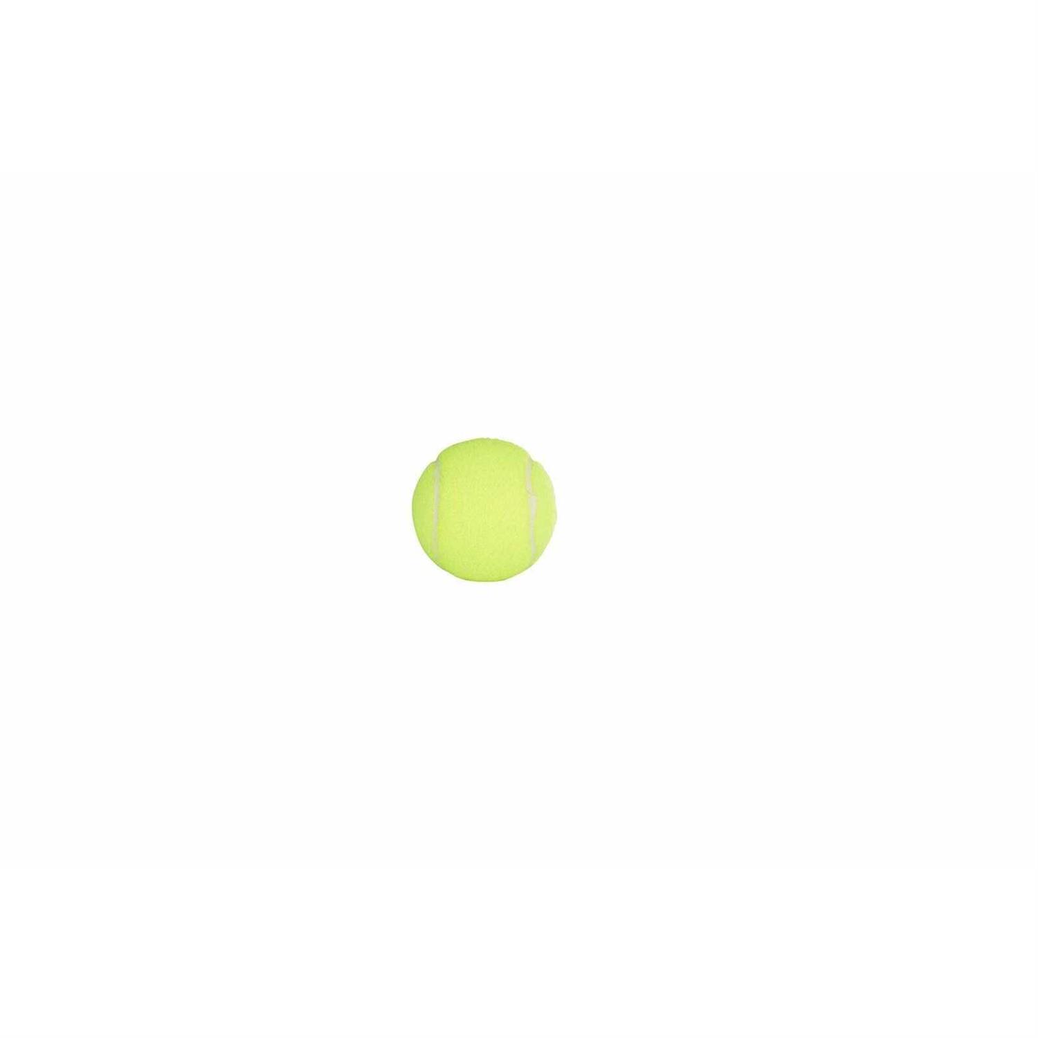 PENN Championship Extra Duty Tennis Balls - Image 4