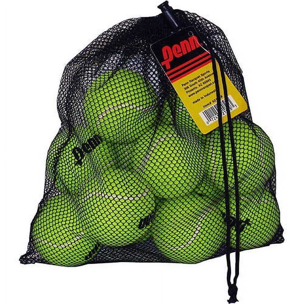 Penn Pressureless Mesh Bag Tennis Balls