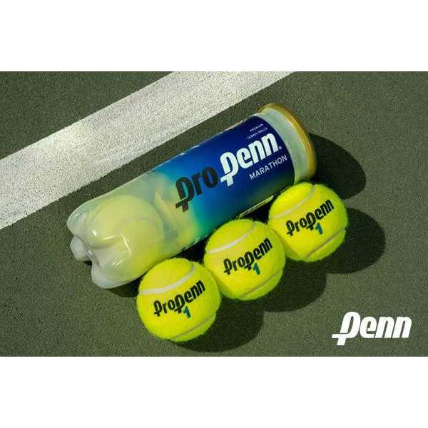 Head Pro Penn Case Marathon Balls Regular Duty - Image 3