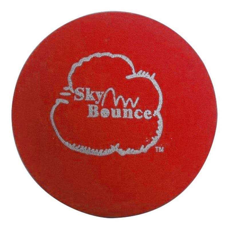 Sky Bounce One Wall Handball