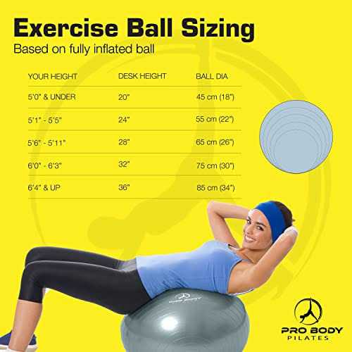 ProBody Pilates Ball Exercise Ball Yoga Ball Multiple Sizes Stability Ball Chair - Image 3