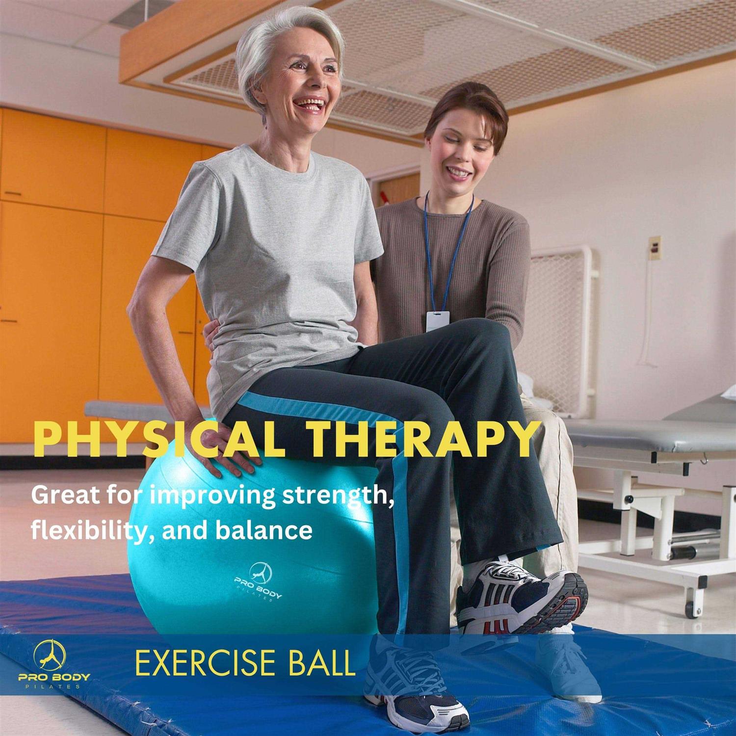 ProBody Pilates Ball Exercise Ball Yoga Ball Multiple Sizes Stability Ball Chair - Image 4