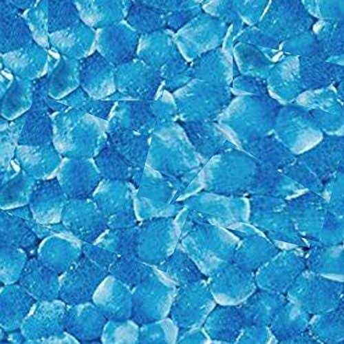 Day 1 Fitness High Density Foam Rollers - Image 3