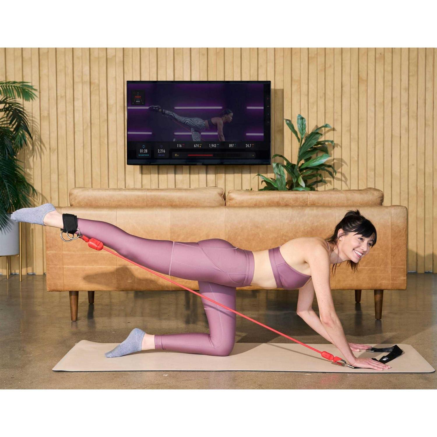 LIT Method Axis Home Gym Resistance BandTraining System - Image 3