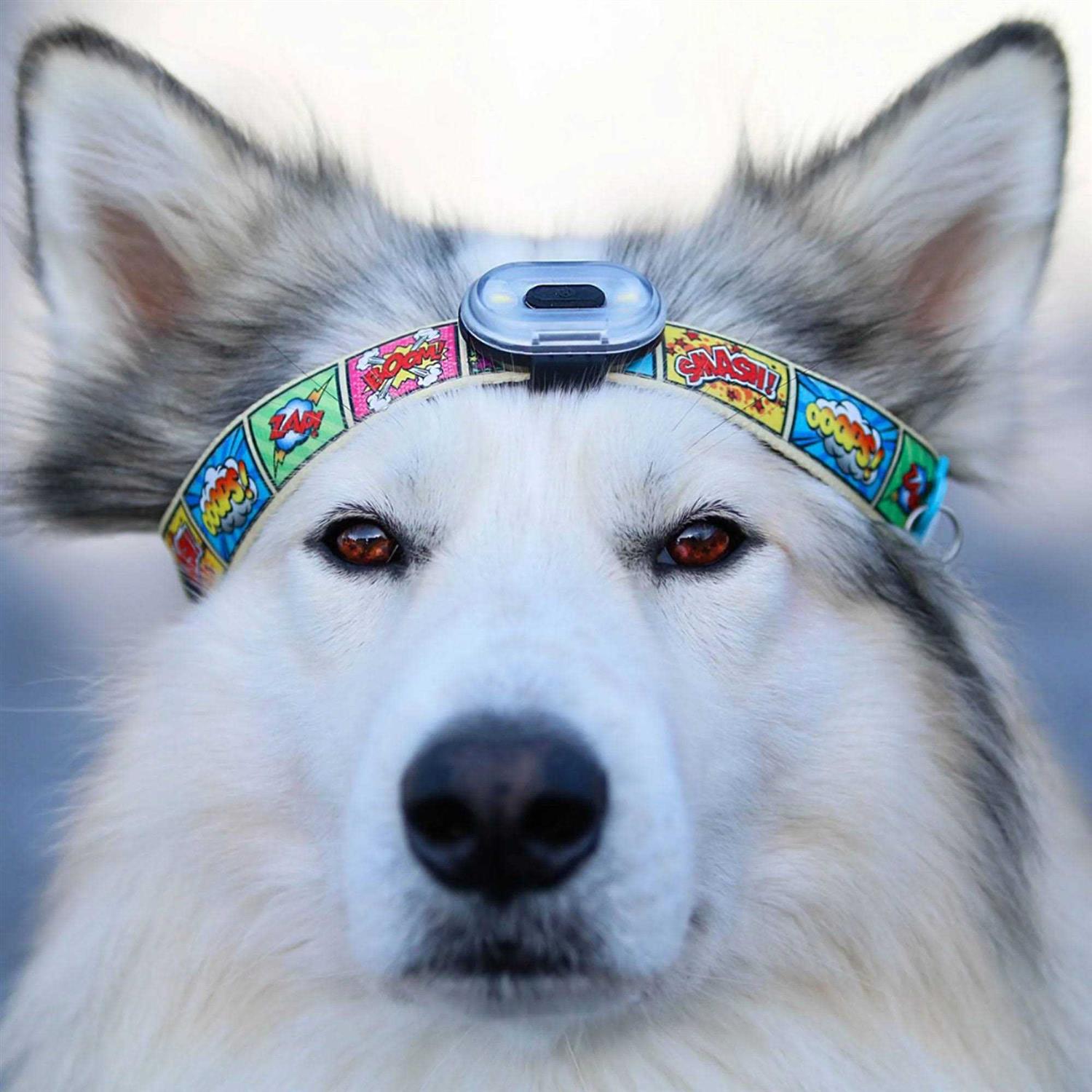 Max&Molly Ultra Bright LED Light - Image 3