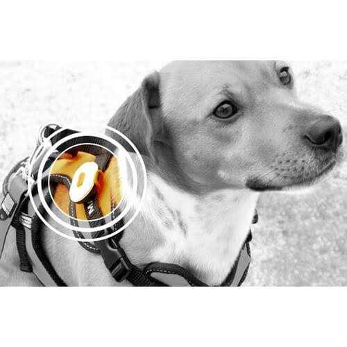 Max&Molly Ultra Bright LED Light - Image 5