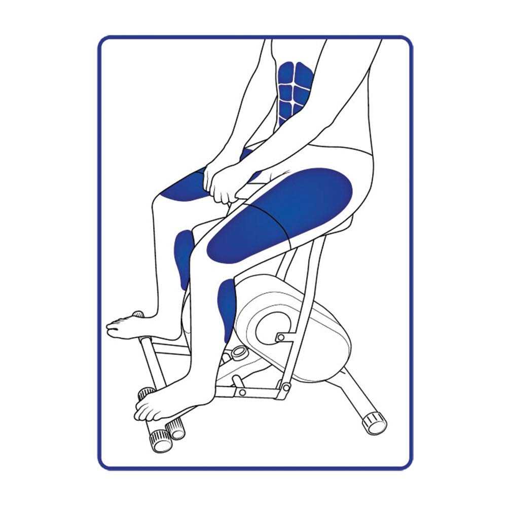 Daiwa Felicity Rodeo Core Exerciser - Image 3